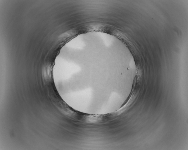 X0000112110094200909011154