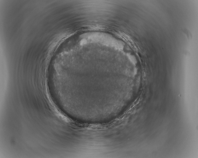 X0000112110097200909011154