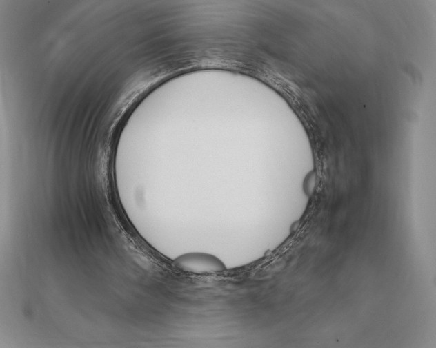 X0000112110098200909011154