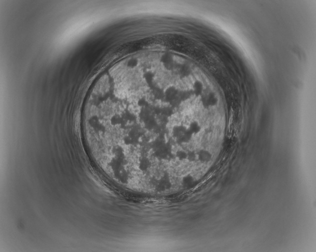 X0000112110099200909011154