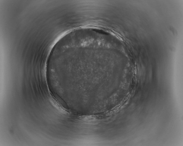 X0000112110100200909011154
