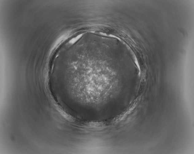 X0000112110101200909011154