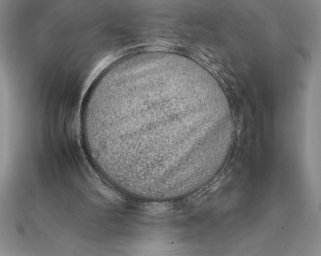 X0000112110102200909011154