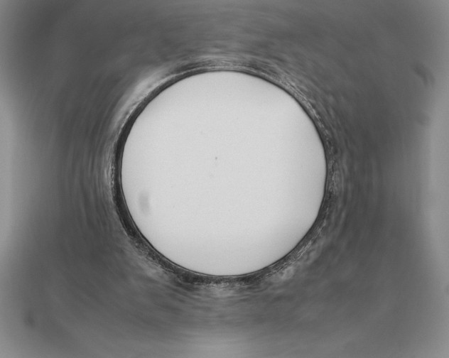 X0000112110103200909011154