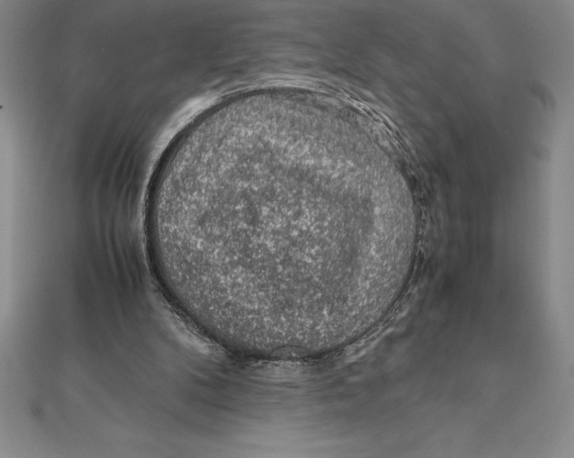 X0000112110104200909011154