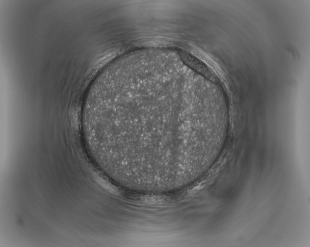 X0000112110105200909011154