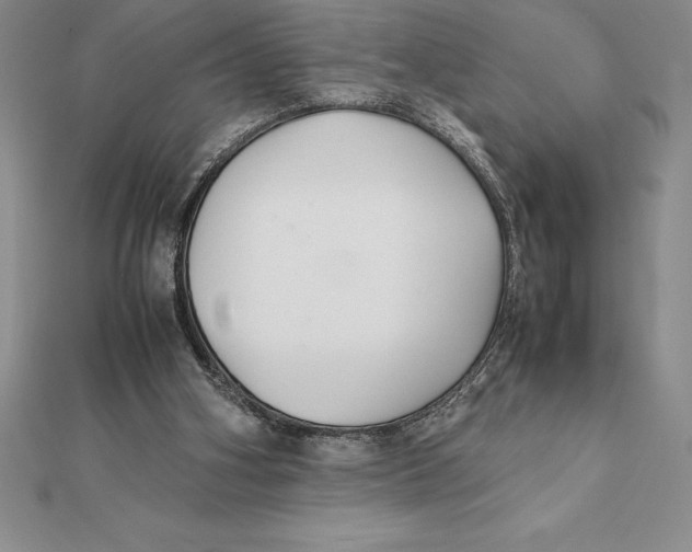 X0000112110106200909011154