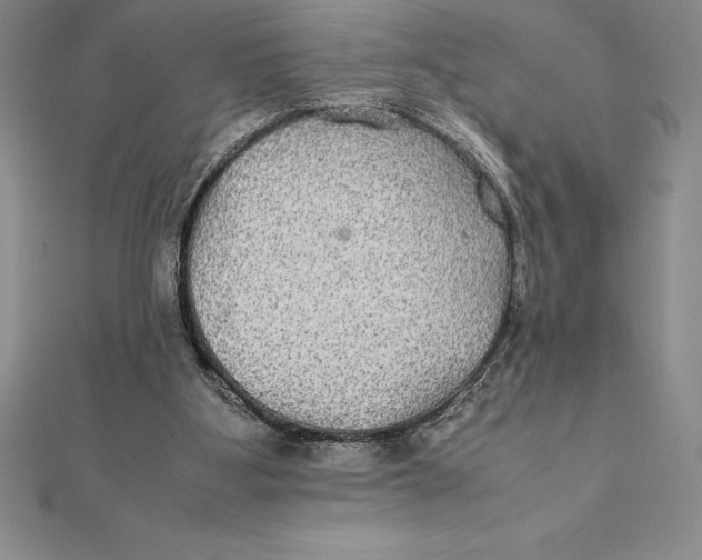 X0000112110107200909011154