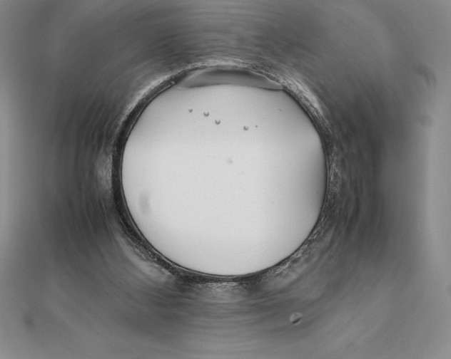 X0000112110108200909011154