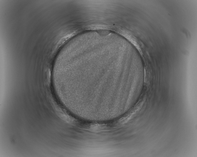 X0000112110109200909011154