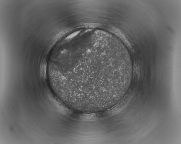 X0000112110110200909011154