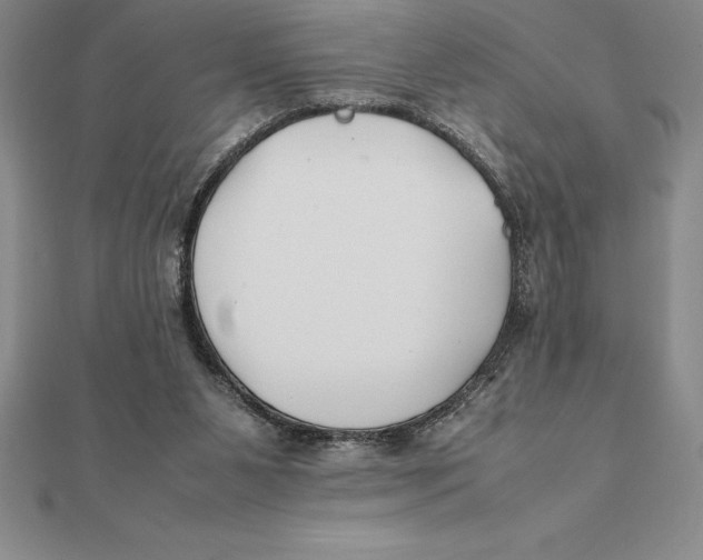 X0000112110111200909011154