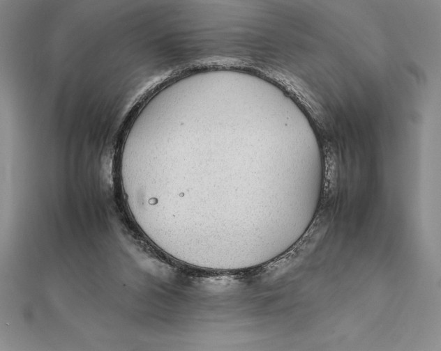 X0000112110112200909011154