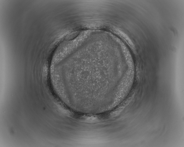 X0000112110113200909011154
