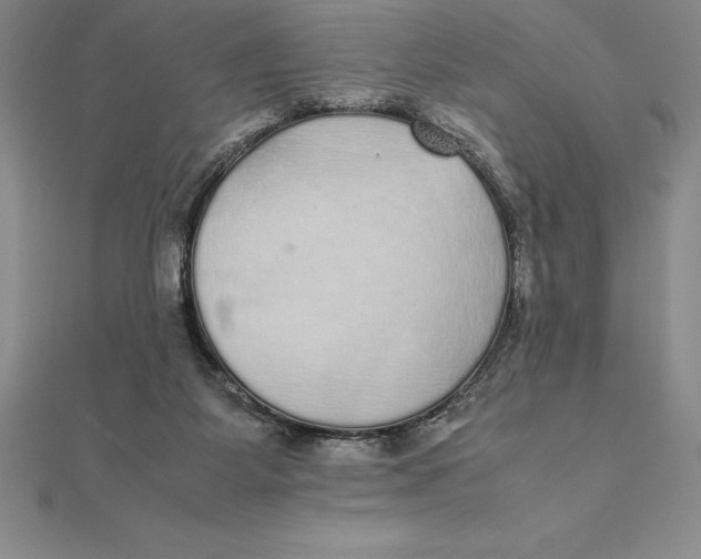X0000112110115200909011153