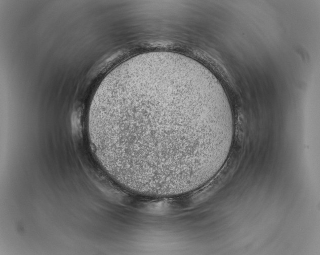 X0000112110116200909011153