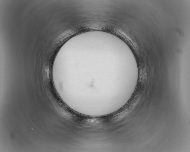 X0000112110117200909011153