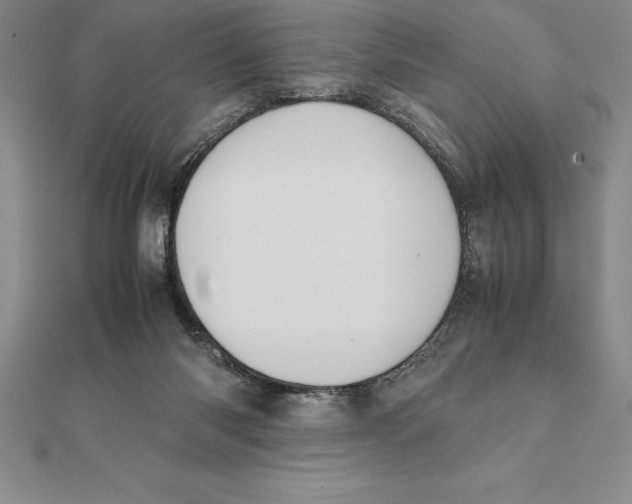 X0000112110118200909011153