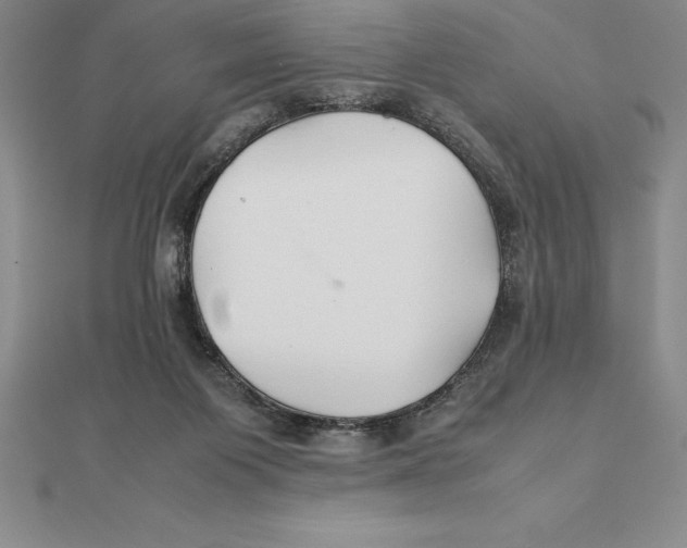 X0000112110119200909011153