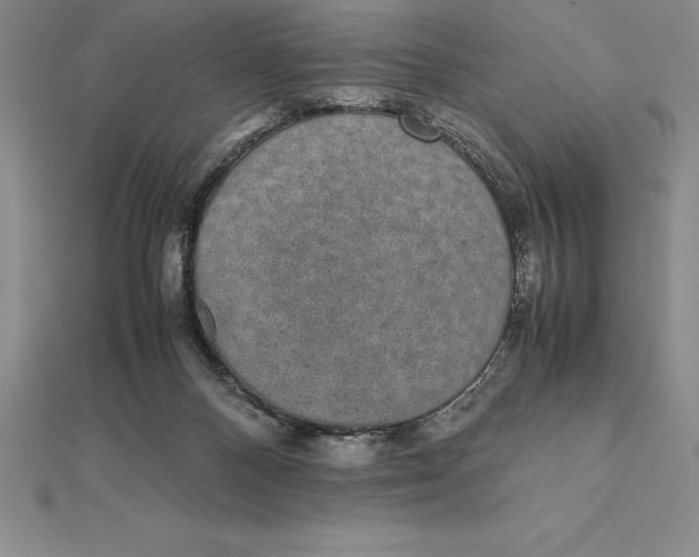 X0000112110120200909011153