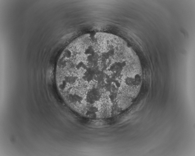 X0000112110127200909011153