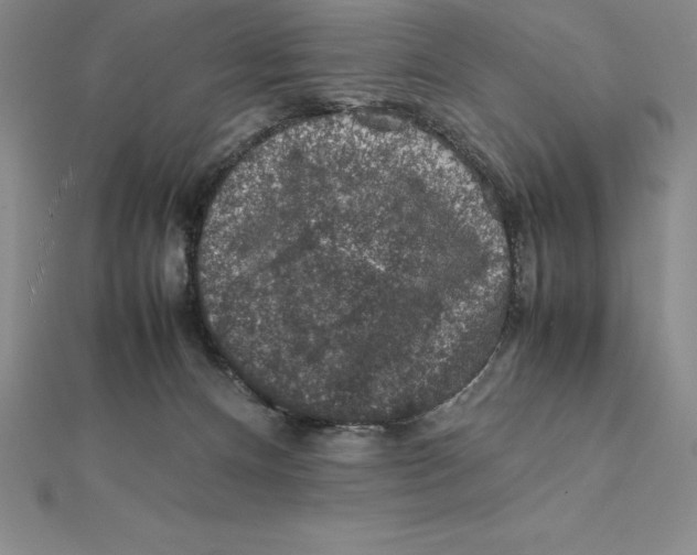 X0000112110128200909011153