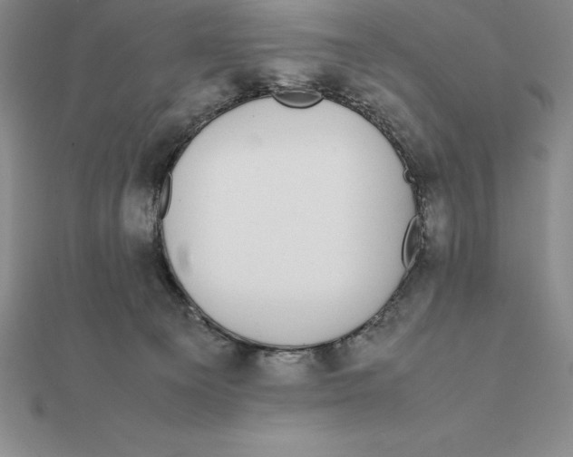 X0000112110129200909011153