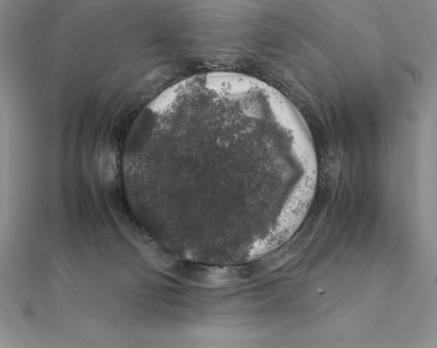 X0000112110130200909011153