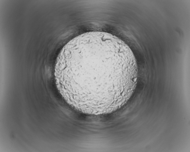 X0000112110131200909011153