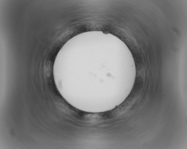 X0000112110133200909011153