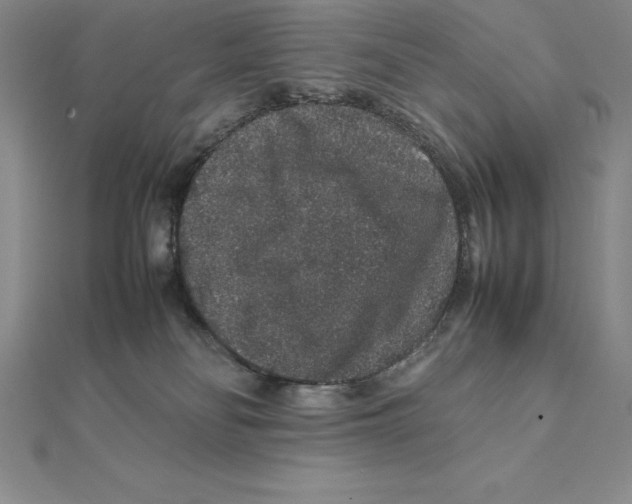 X0000112110134200909011153