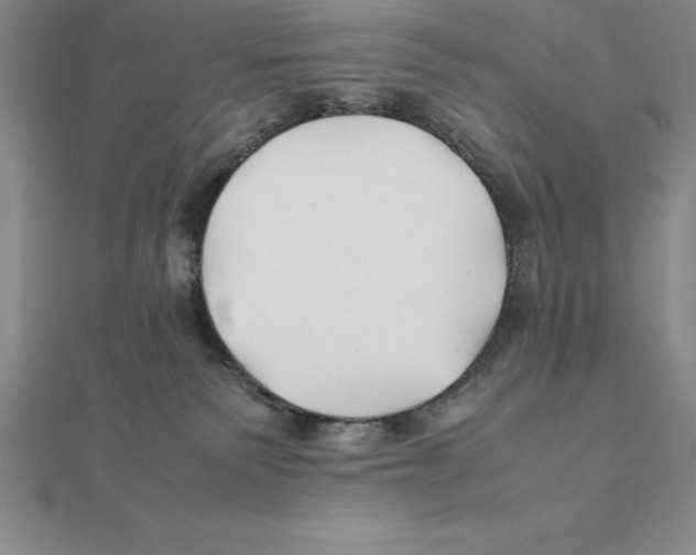 X0000112110135200909011153