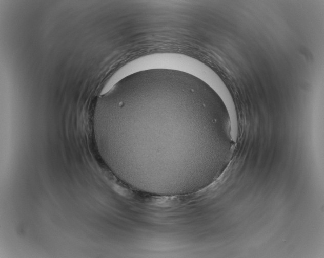 X0000112110136200909011153
