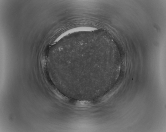 X0000112110137200909011153