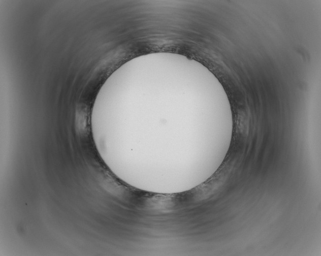 X0000112110138200909011153