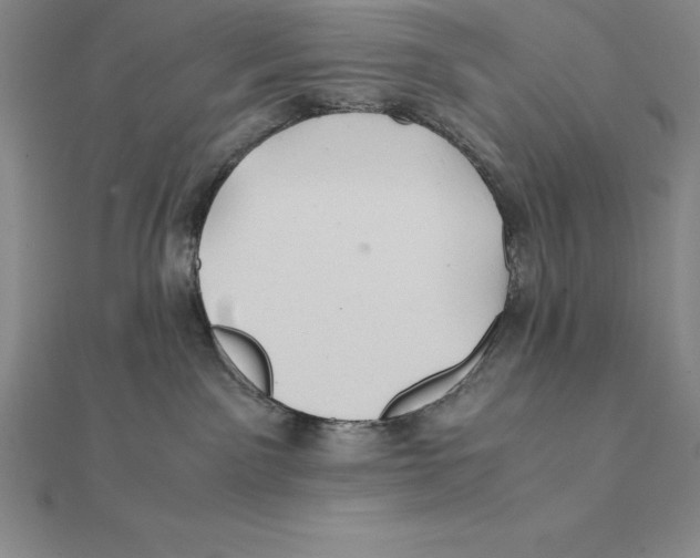 X0000112110141200909011153