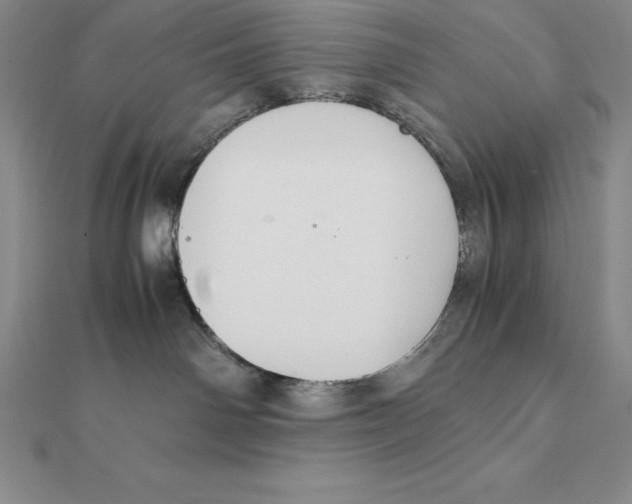 X0000112110142200909011153