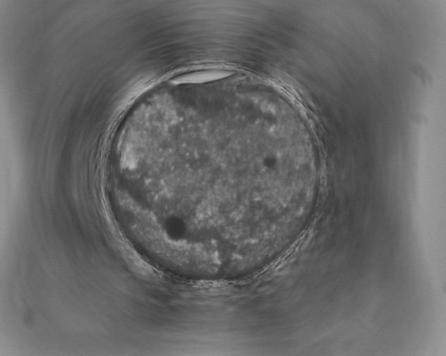 X0000112110145200909011152