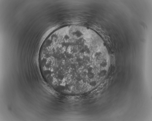 X0000112110147200909011153