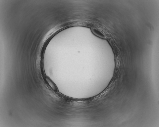 X0000112110150200909011153
