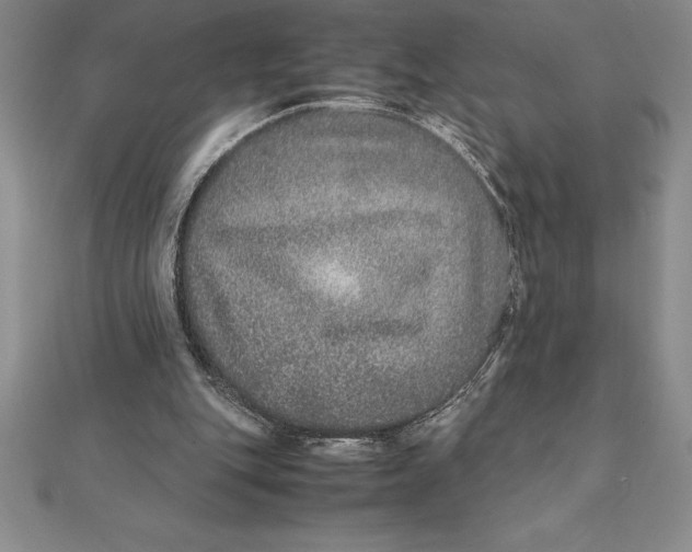 X0000112110151200909011153