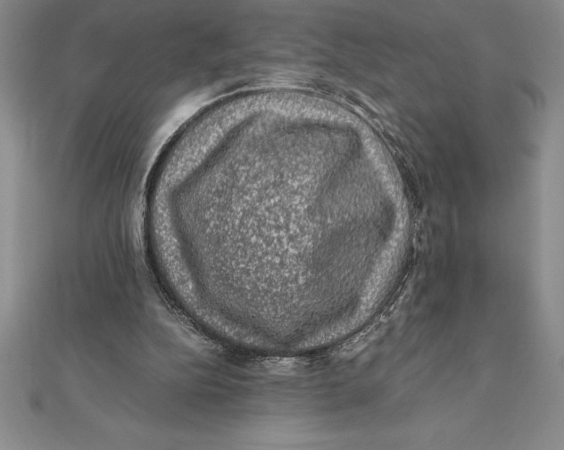 X0000112110152200909011153