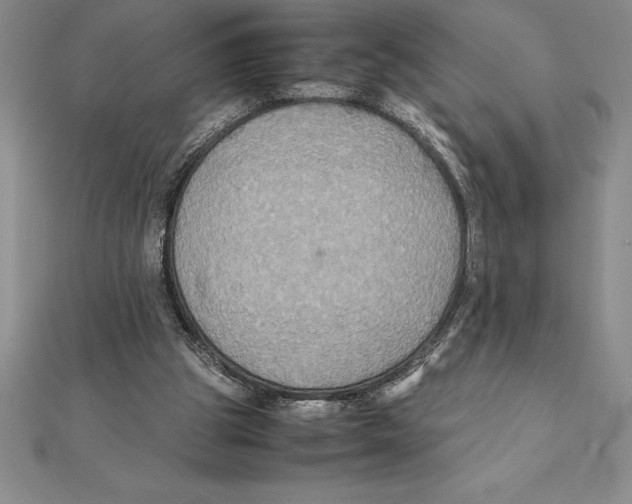 X0000112110153200909011153