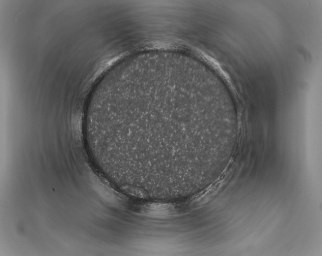 X0000112110154200909011153