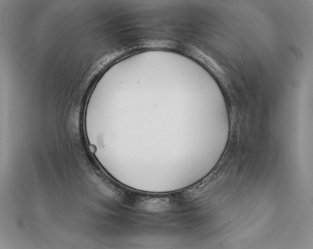 X0000112110155200909011153