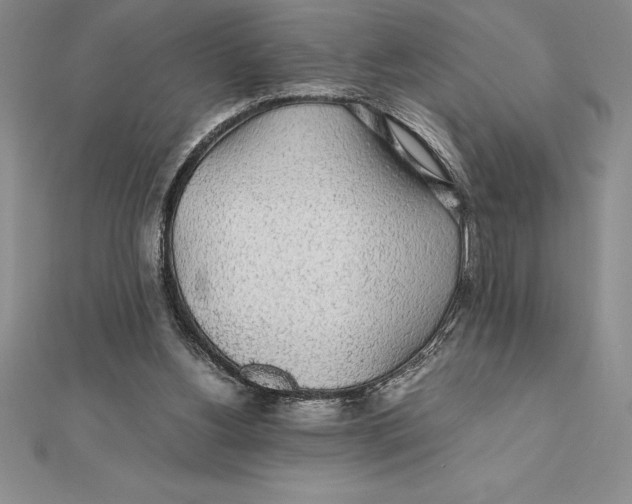 X0000112110156200909011153