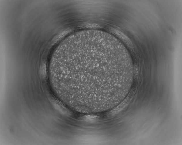 X0000112110158200909011153