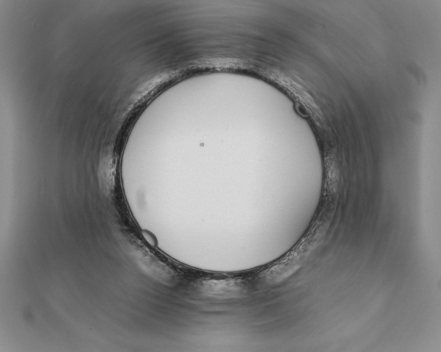 X0000112110160200909011153