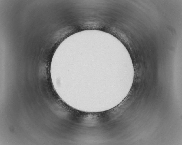 X0000112110162200909011153