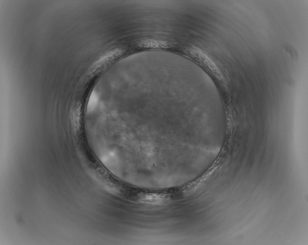 X0000112110163200909011153